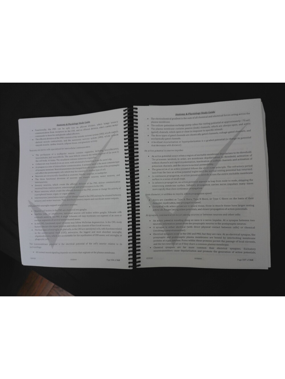 Achieve Anatomy & Physiology I & II Study Guide 2018 Science Spiral Bound